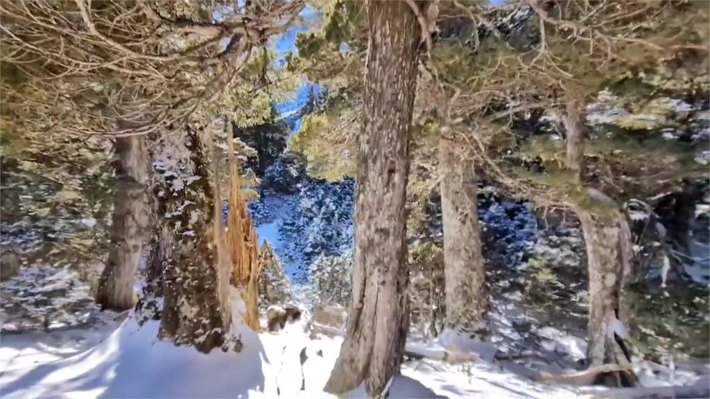 冷氣團來襲！水氣充足　雪山主峰週邊積雪超過15公分