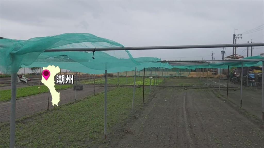 巴威來襲！　墾丁南灣「插紅旗封閉」　屏東農民「菜園遭吹掀」落淚