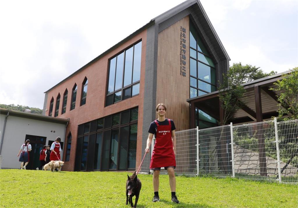 快新聞／貓狗住豪宅！「全國最夢幻動物之家」榮獲兩大獎　園區設計全曝光