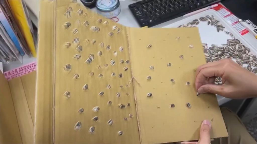 世界閱讀日享受書香 黑猩猩竟在翻看美食書