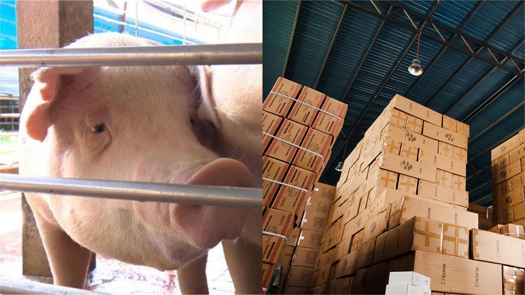 非洲豬瘟破口疑曝光?林楚茵揭肉製品「靠1招闖台」:中國是最大漏洞!