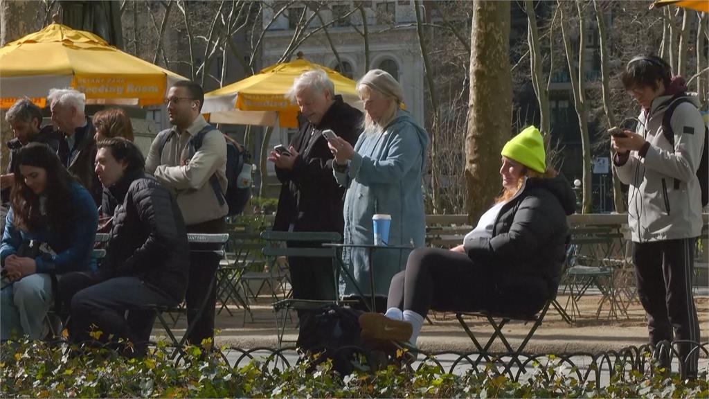 紐約曼哈頓鬧區現「美洲山鷸遷徙」　鳥迷搭整夜火車直擊感動哭了