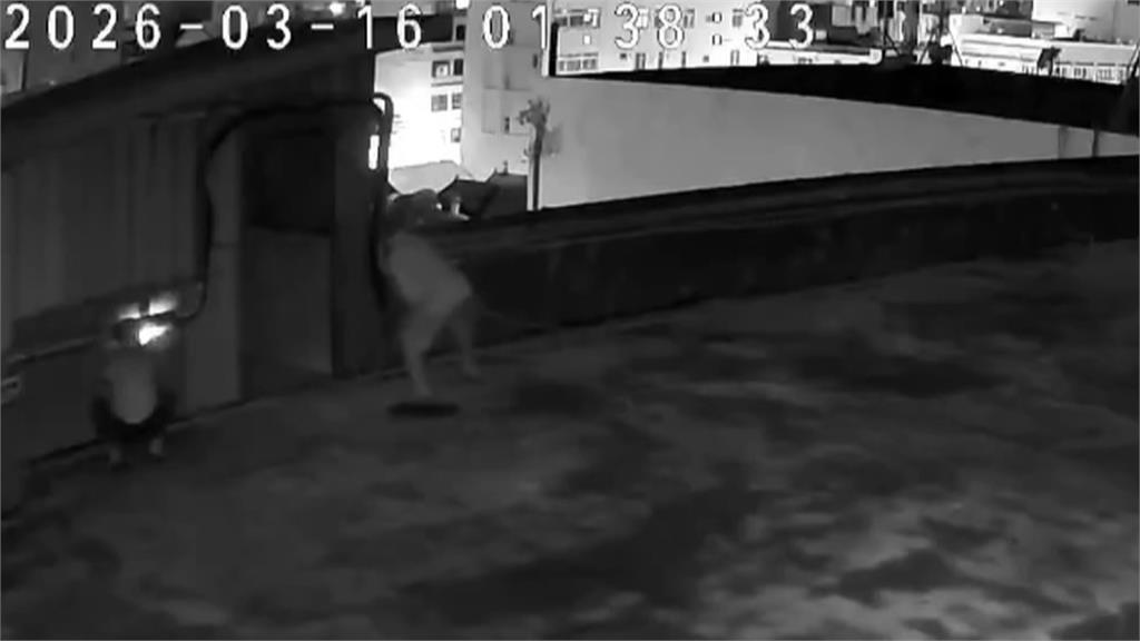 慣犯鎖定花蓮消防隊舊大樓！　深夜爬頂樓竊電線電纜