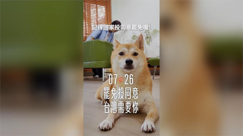 藍綠推CF影片籲726投票 「誰選輸翻桌」激烈互槓