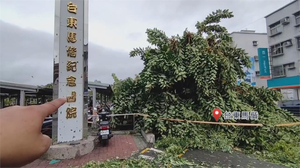 「海葵」強風暴雨肆虐台東　台鐵2列車集電弓遭樹枝打壞卡原地