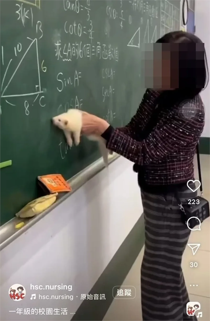 老師拿雪貂擦黑板?新生醫專超扯影片瘋傳後刪除 動保處出手了