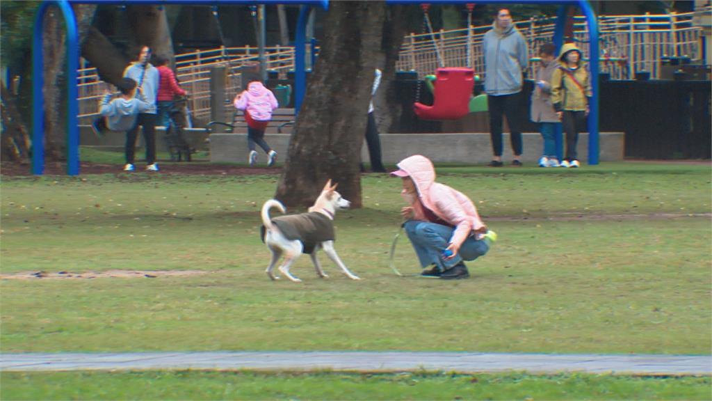 強烈冷氣團報到低溫下探7度　預計冷到「這一天」下週寒流再襲？