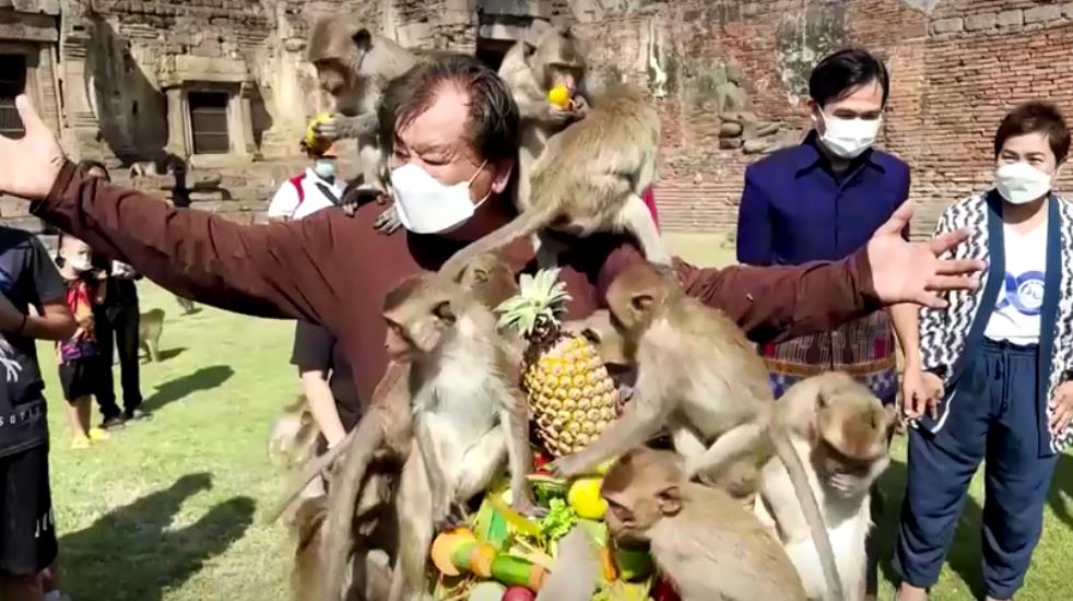 上千猴子瘋吃兩噸蔬果　泰國「猴子節」超吸睛