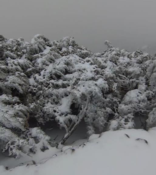 快新聞／玉山下雪了！積雪已達5公分　銀白世界畫面曝