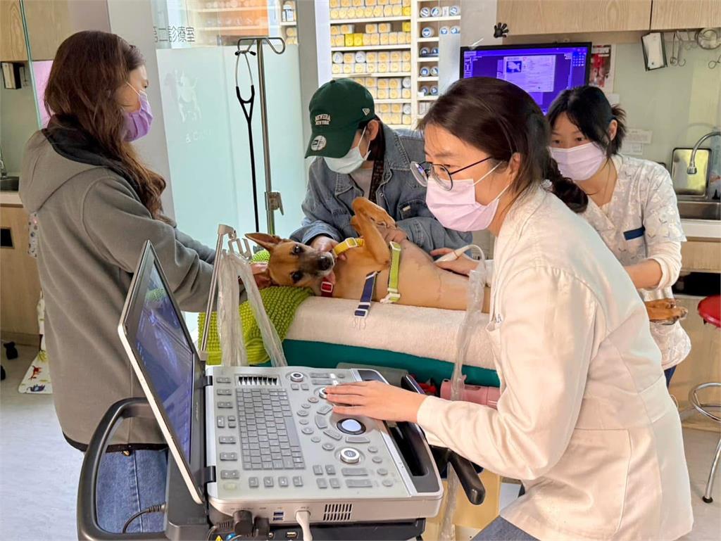 《好運來》米可白親揭摯愛吸收變差「確診胃癌」! 崩潰淚吐:只剩幾個月