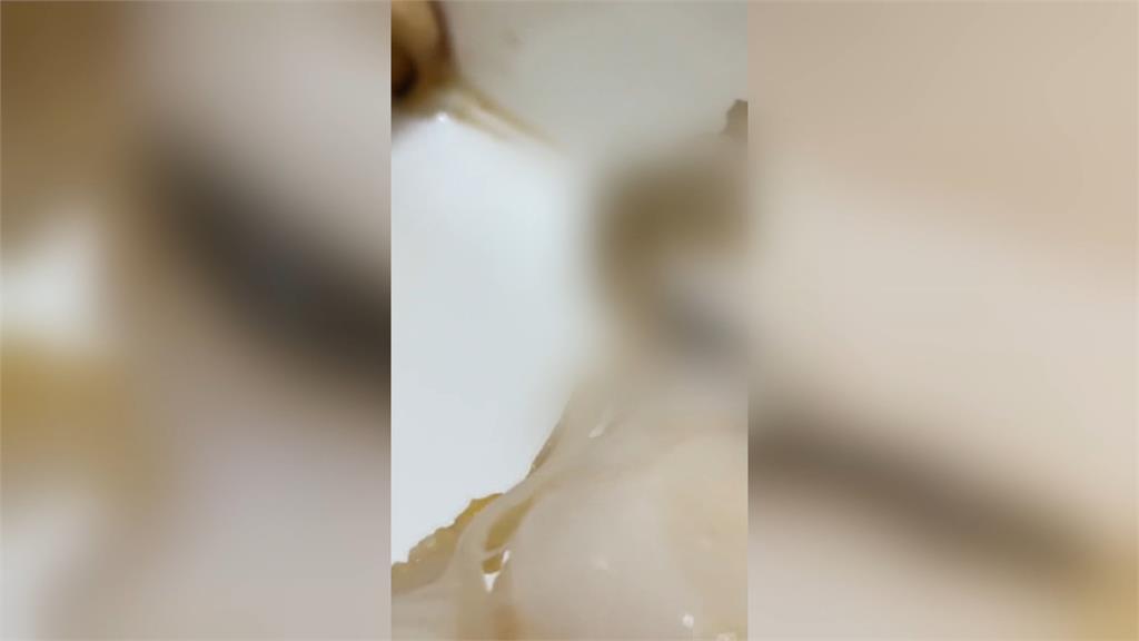 蟲蟲危機!連鎖壽司店外帶組合 扇貝裡驚見蛆在動