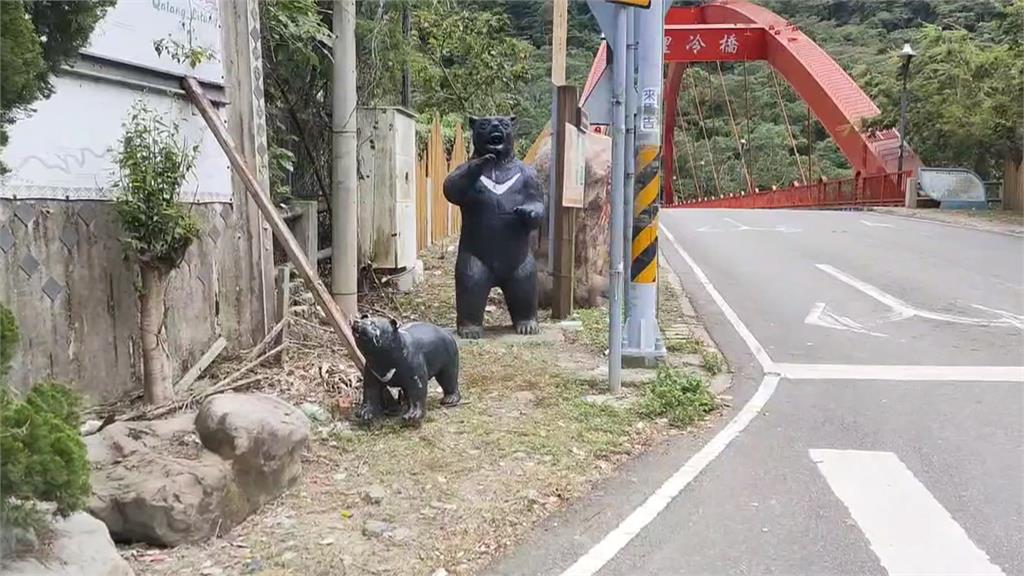 裡冷部落「台灣黑熊」被擄走? 嫌犯到案稱:太喜歡黑熊