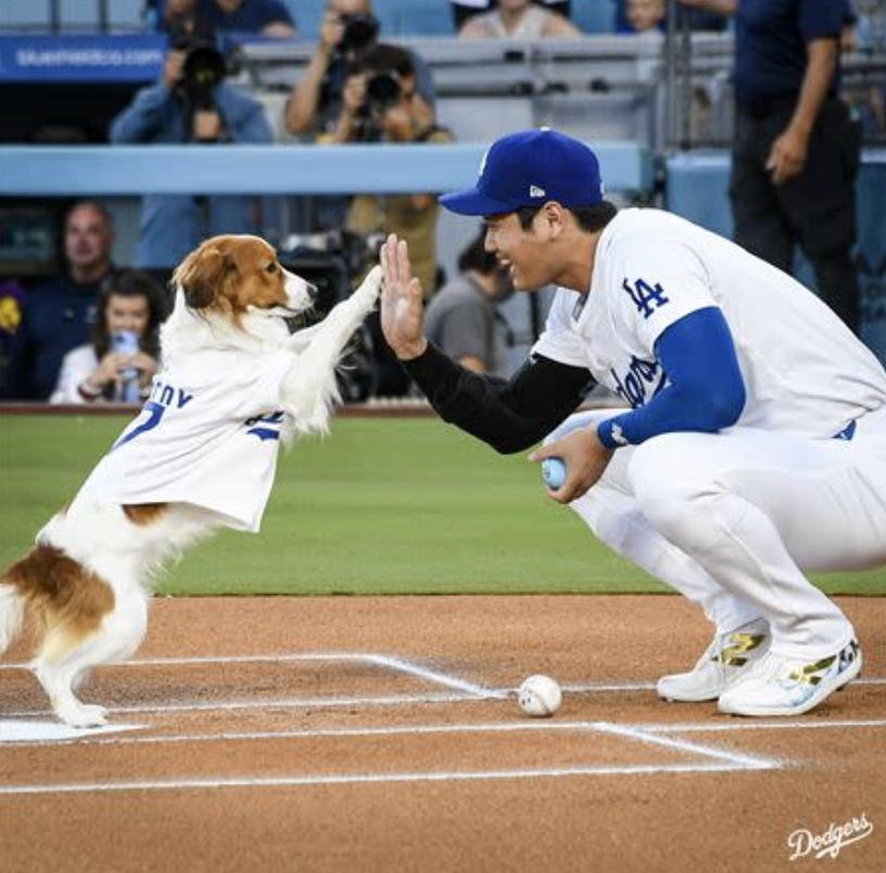 MLB／沒被棒球耽誤的「謎之畫家」？前田健太手繪大谷與愛犬  本尊超滿意穿上身