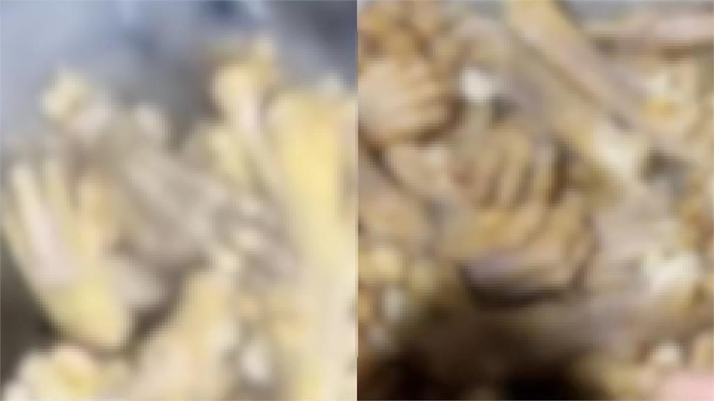 中餐廳疑直播「烹飪貓掌」遭檢舉!老闆出面澄清「無違法」:是狗肉