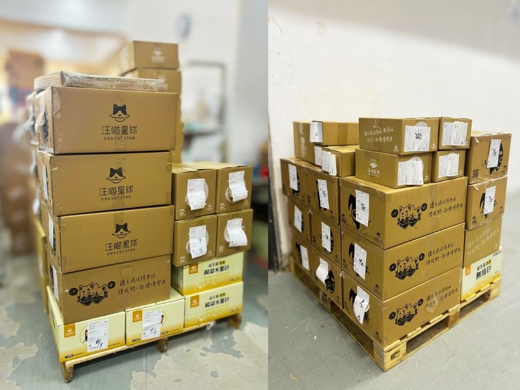 守護香港毛孩！汪喵星球啟動宏福苑受災寵物援助行動 