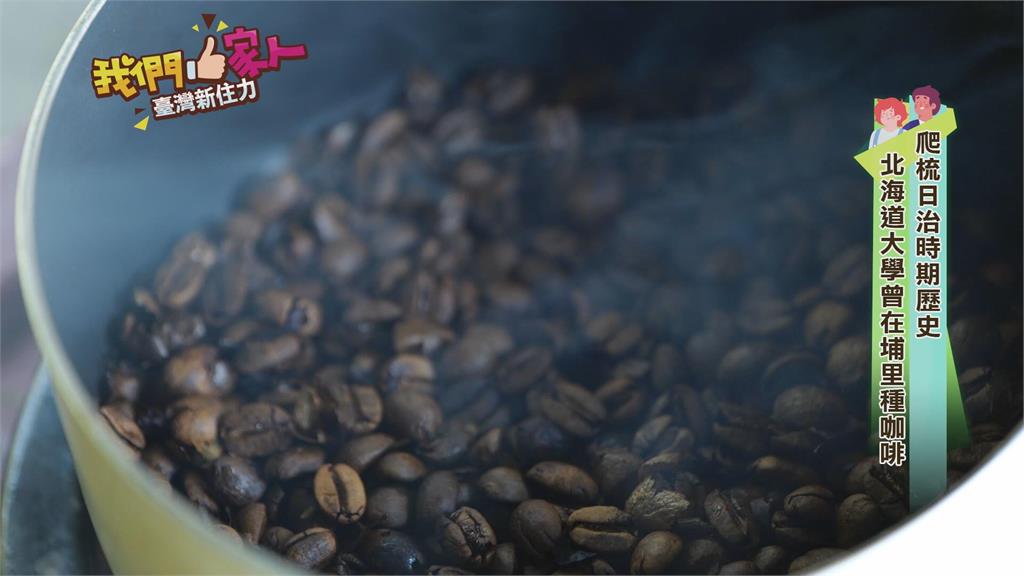 復刻南投埔里咖啡百年滋味 　日本女婿採自然農法種咖啡