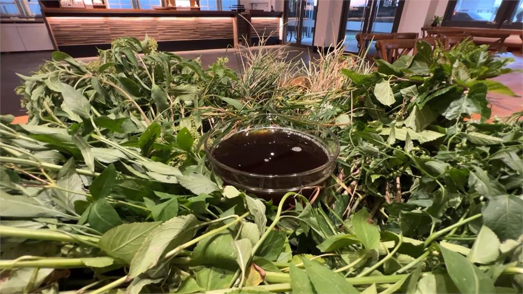 日頭赤炎炎!神尊出巡 「神將腳」難敵熱衰竭軟腳