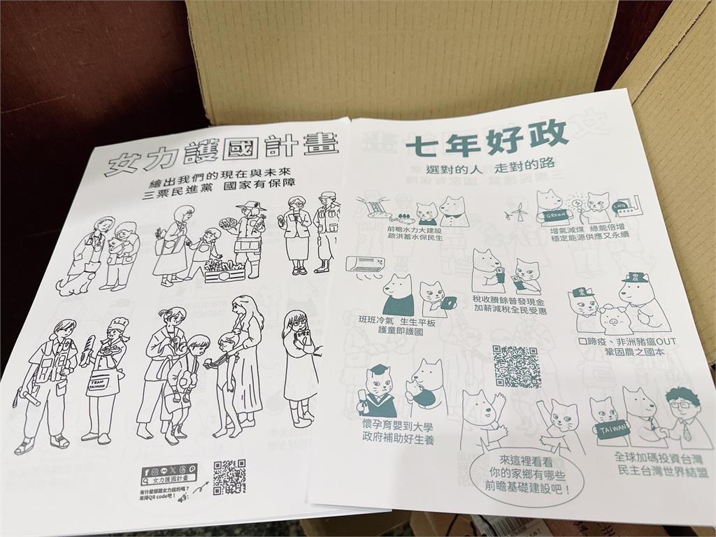 幕後/民間女性發起「女力護國計畫」 號召支持者發文宣挺民進黨
