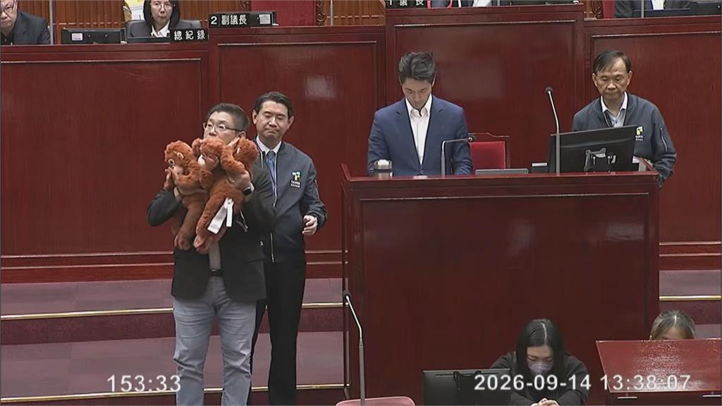 快新聞／蔣萬安尷尬了！議員送「3隻猴子」酸爆市政　現場畫面曝光