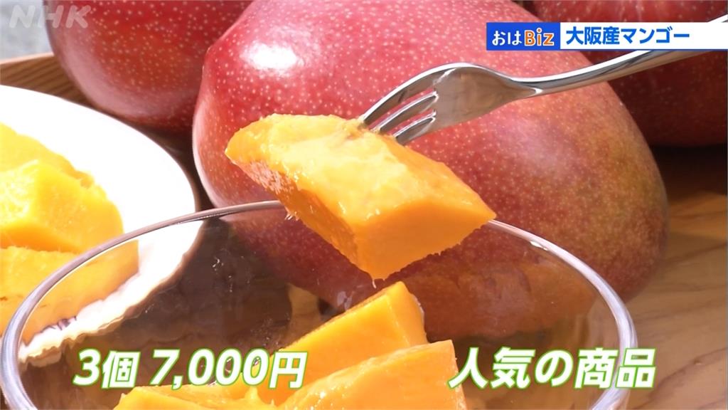 日本也開始產芒果！大阪三顆要價1700台幣