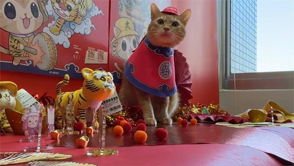 快新聞/高捷「蜜柑站長」跨界虎將軍 彩繪列車「蜜柑萌虎平安號」開行