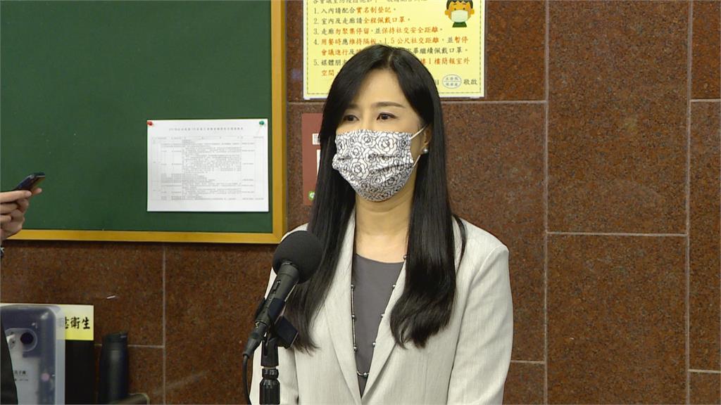 挺羅智強選桃市長 趙少康:協調不成就初選