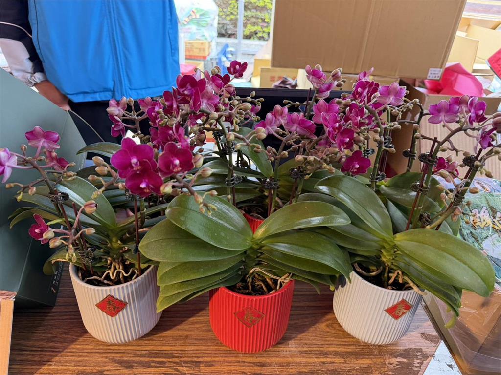 輔導會五大農場健康市集列車 下一站臺中榮總