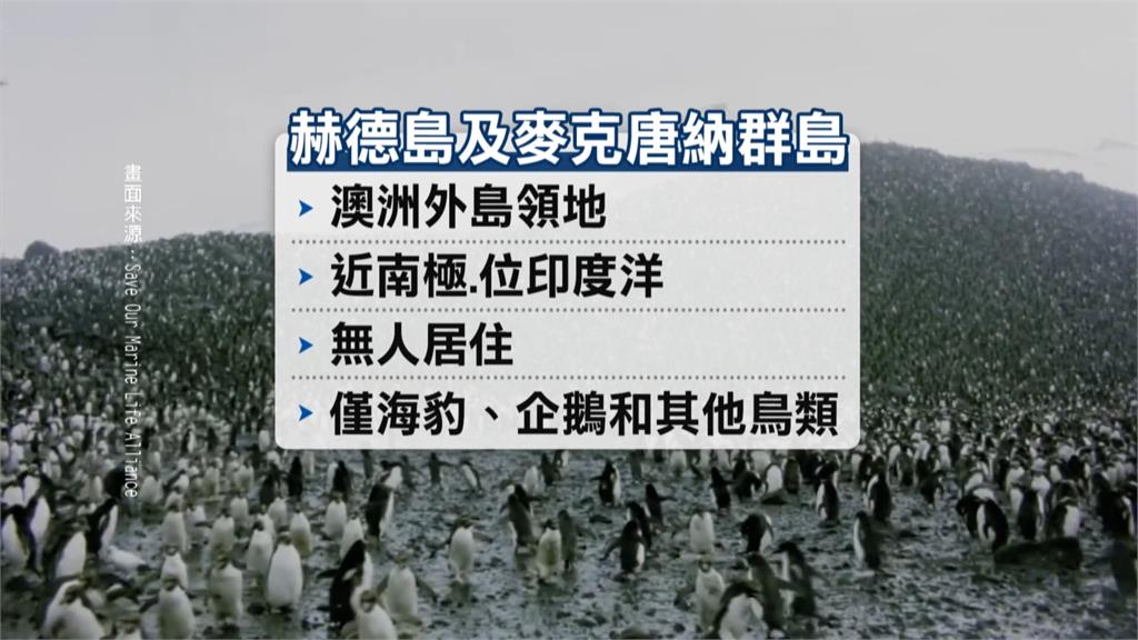 無人島被課稅!企鵝、海豹氣噗噗 美商務部長點名中國「這樣解釋」