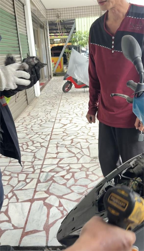 快新聞／颱風天化身喵星人救援隊　鶯歌暖警「機車頭燈」救出受困小貓