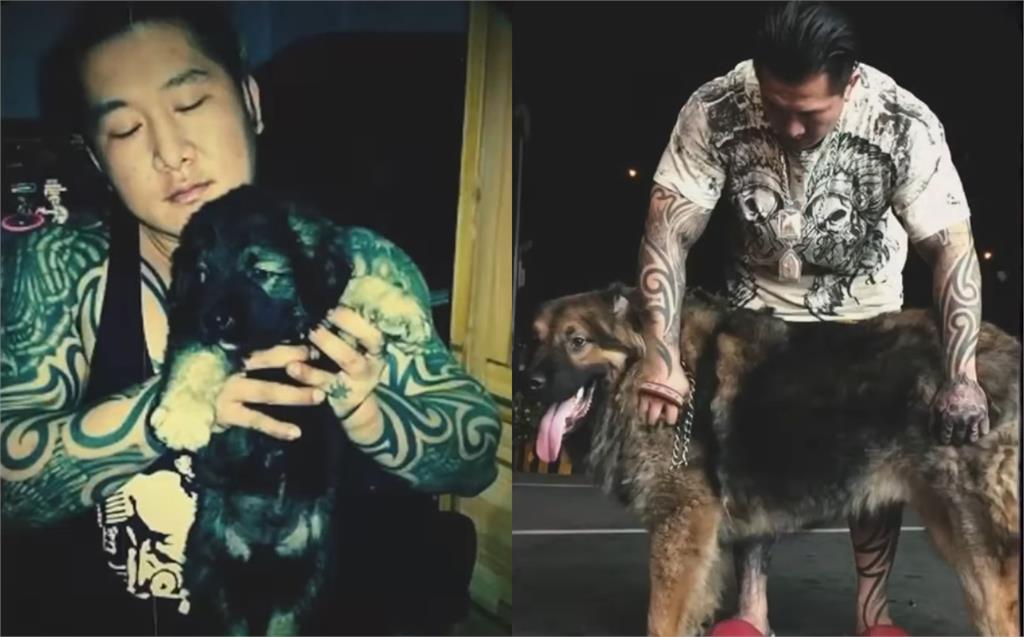 昔攻擊老婆害流產…館長愛犬離世!安樂死前夕「最後道別」畫面曝:我愛你兄弟