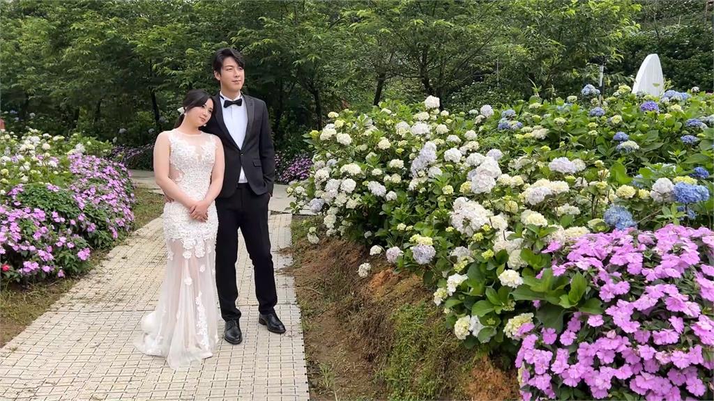 全台最大繡球花田在萬里! 異國新人搶拍婚紗照:好浪漫