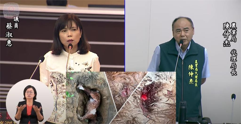 快新聞/台南9惡犬馬術場圍攻屠殺「馬隻2死3傷」 黃偉哲說話了