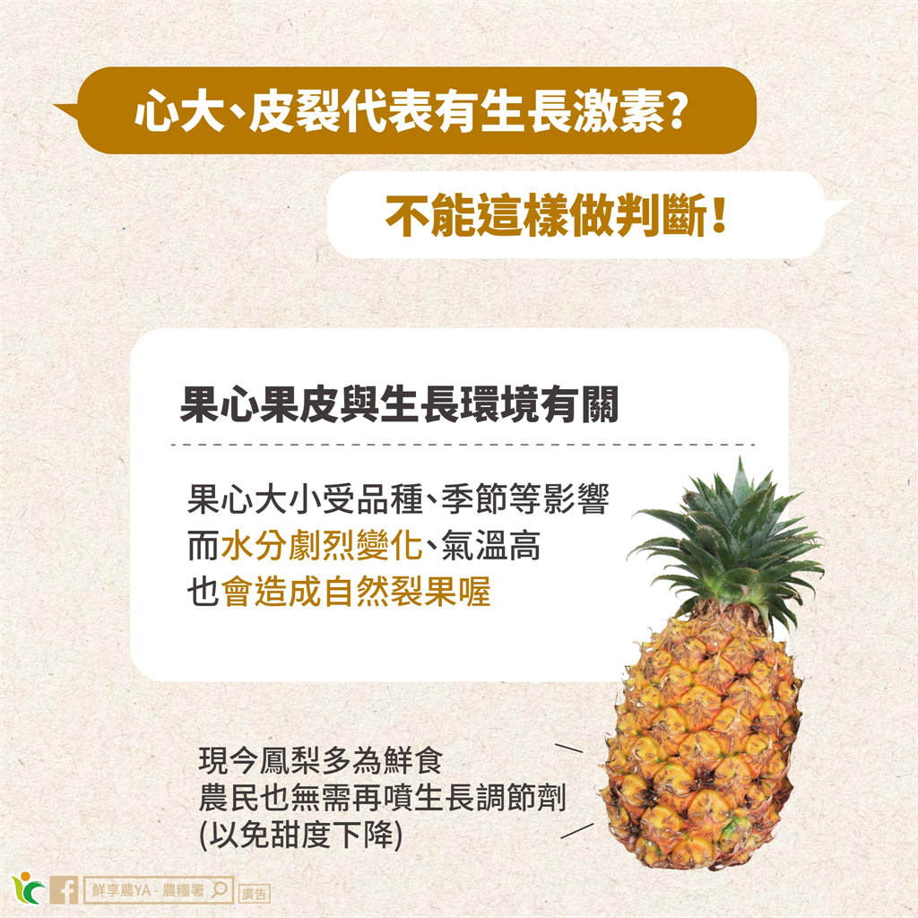 鳳梨配芒果吃會出問題?農糧署闢謠3迷思:放越久越甜其實是1比例變了