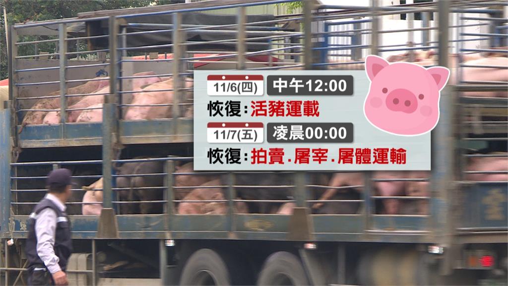 禁宰令到期! 全台禁運活豬11/6午起開放 「拍賣.屠宰」等11/7