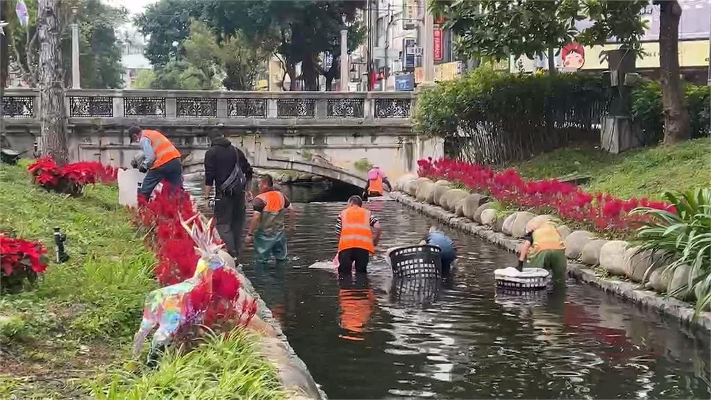 平安夜魚群不平安！　台中綠川耶誕燈區漂大量死魚