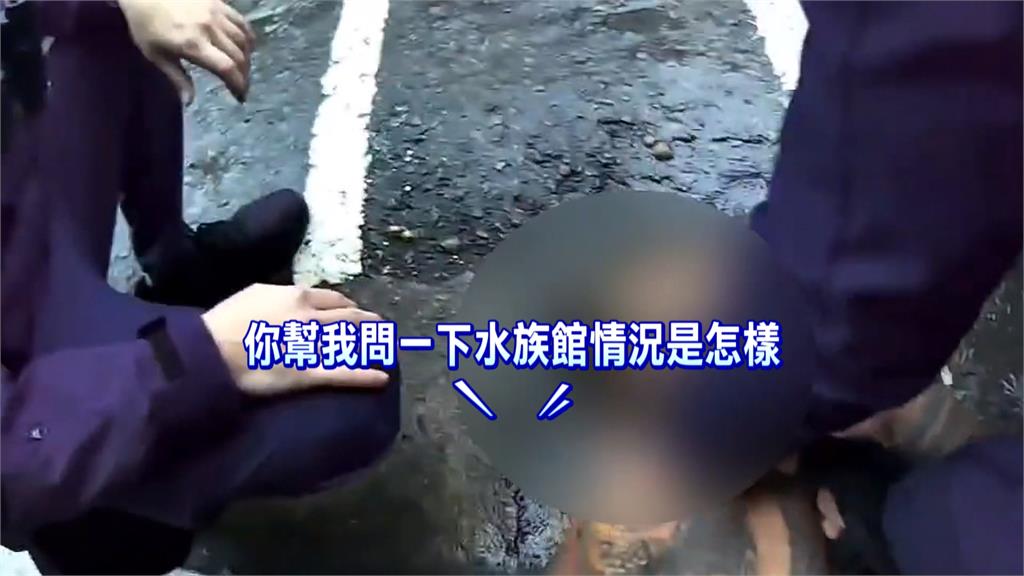 桃園醉男失控鬧水族館"脫到剩內褲" 警帶回保護管束