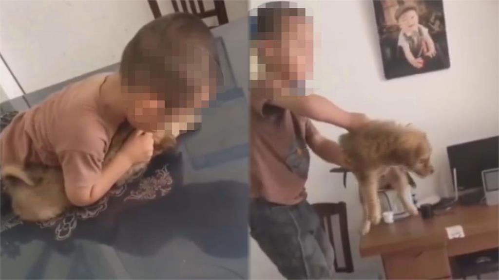 幼犬慘遭掐脖重摔！3歲男童虐狗家長竟還錄影　網罵：老了摔父母