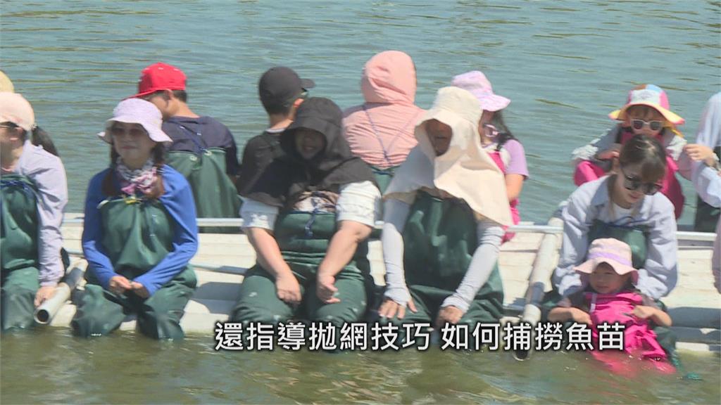 魚苗買賣全靠一張嘴　台南「點漁工」用老經驗訴說漁村記憶