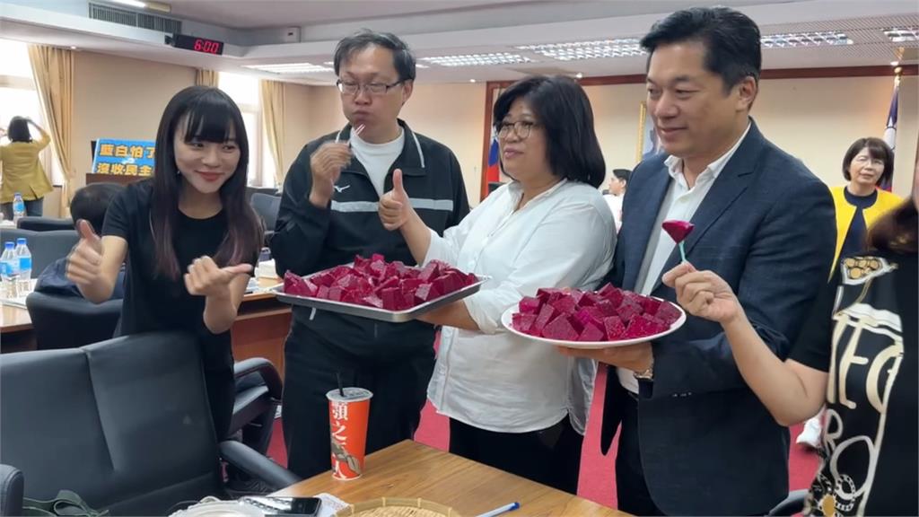 內政委員會白營缺席!綠委狠酸麥玉珍:把火龍果還給台灣