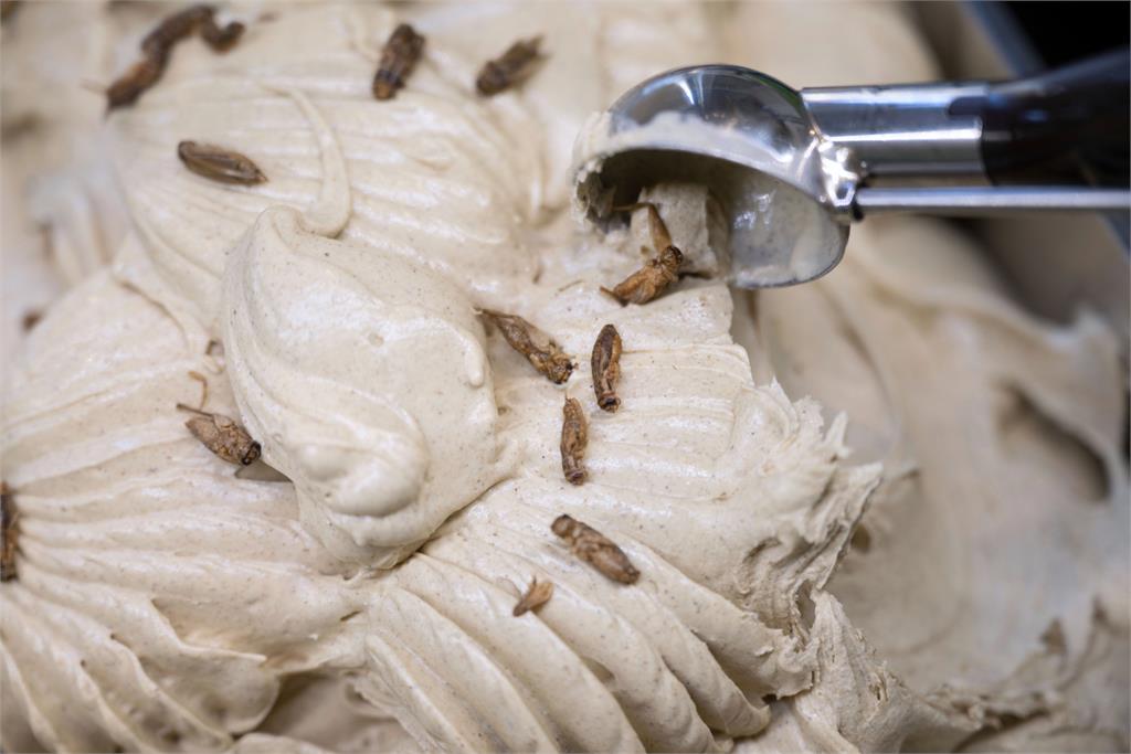 您敢吃嗎？德國超狂老闆推「蟋蟀冰淇淋」　顧客一吃驚呆：非常美味！