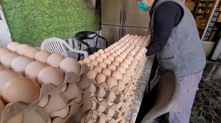 嫌蛋太貴?「雞農哥」妙喻引共鳴:比起連假飯店房價,雞蛋哪有貴!