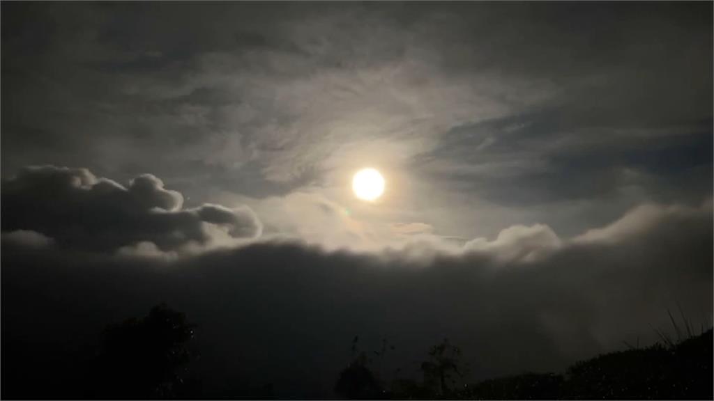 春遊草嶺！　雲嶺之丘賞雲海　翠綠竹林如「武俠電影」