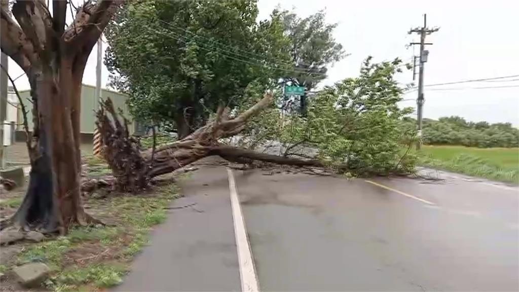 雲林海線鄉鎮發強風特報 突宣布停班課家長措手不及