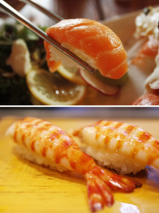 未知新物種「超新鮮」會游泳的握壽司　日本網友吵翻：鮭魚還是鮮蝦