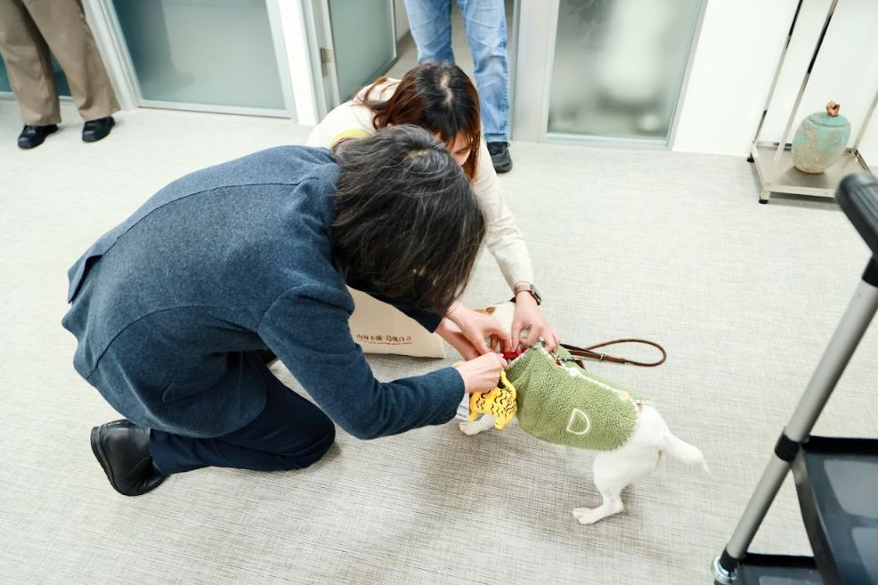 快新聞/蔡英文與愛犬「樂樂」歡度小年夜 嗨掛蜜柑萌虎、超人力霸王提燈