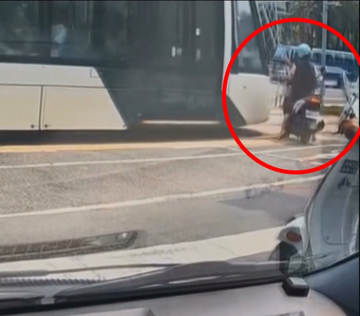 女騎士闖燈急停軌道區　遭輕軌擦撞倒地竟肇逃