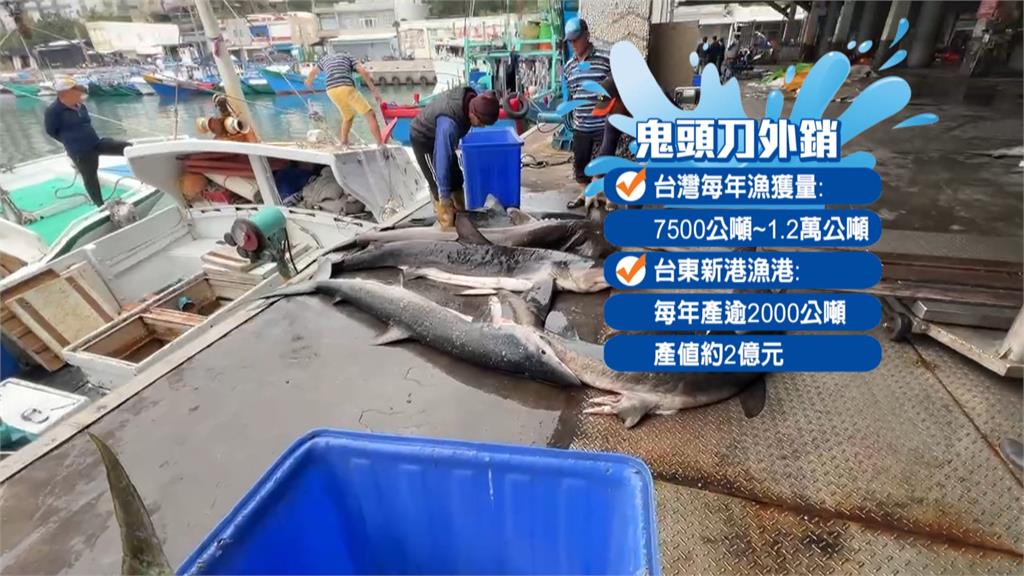 漁民憂美關稅衝擊 農業部積極拓展其他國內外市場
