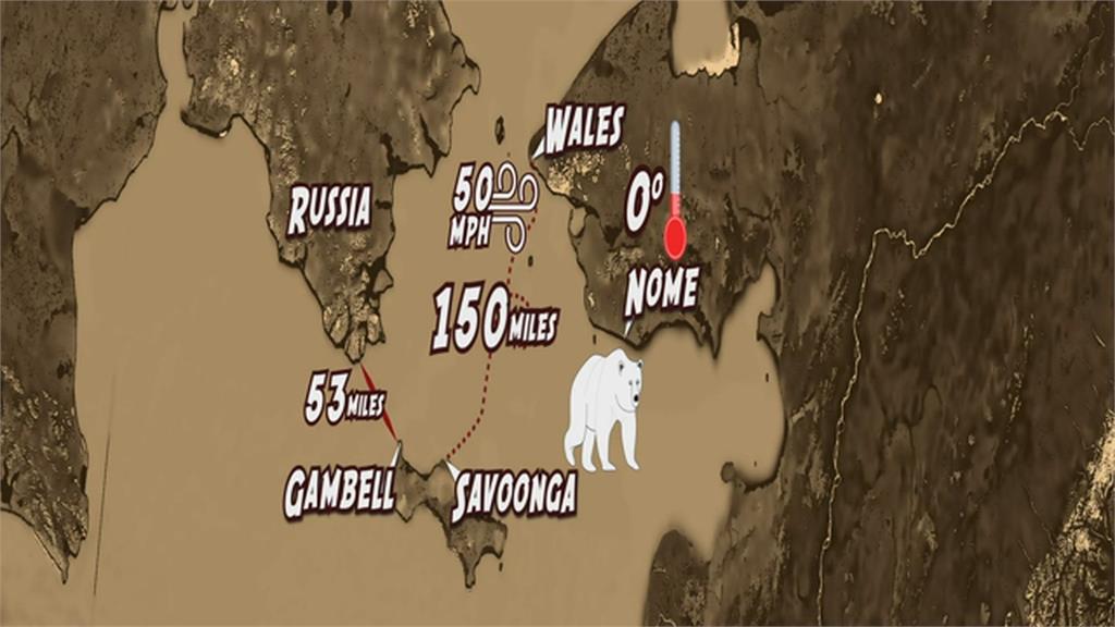 神奇！牧羊犬失蹤一個多月　竟橫渡241公里結冰海水