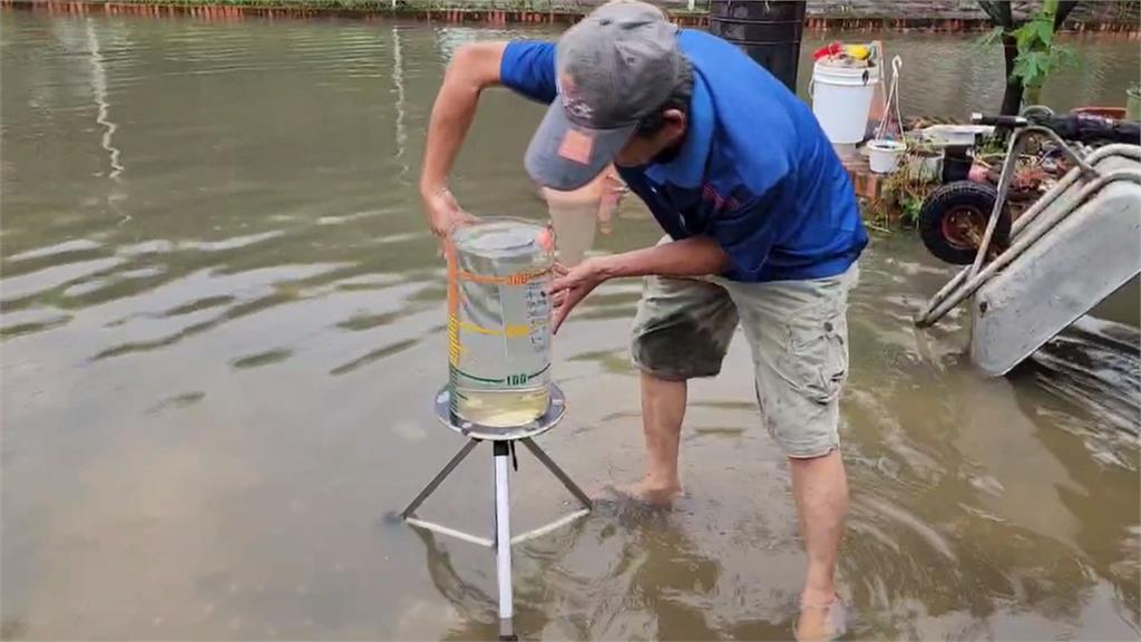 雨彈狂炸!水林鄉降雨24小時飆破400毫米 鴨子成「另類受災戶」