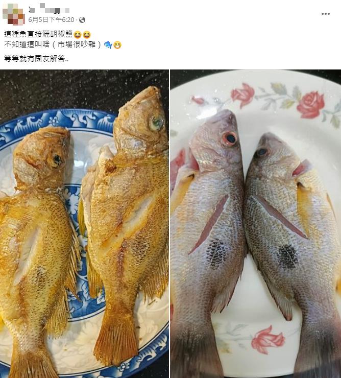 他發「金黃煎魚照」問這是什麼品種？網歪樓反問：是用哪牌的鍋子啊？